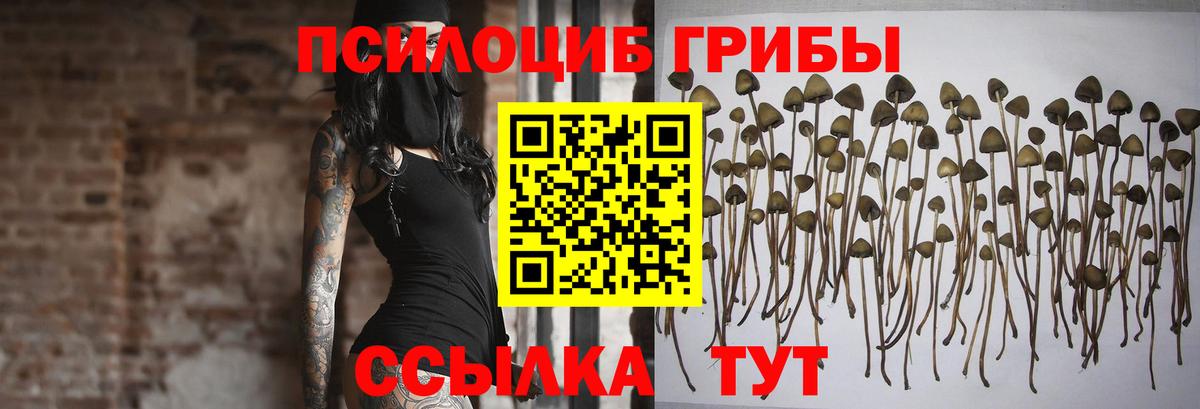 Галлюциногенные грибы Magic Shrooms  Галлюциногенные грибы Magic Shrooms  Вход с VPN  Отрадное 